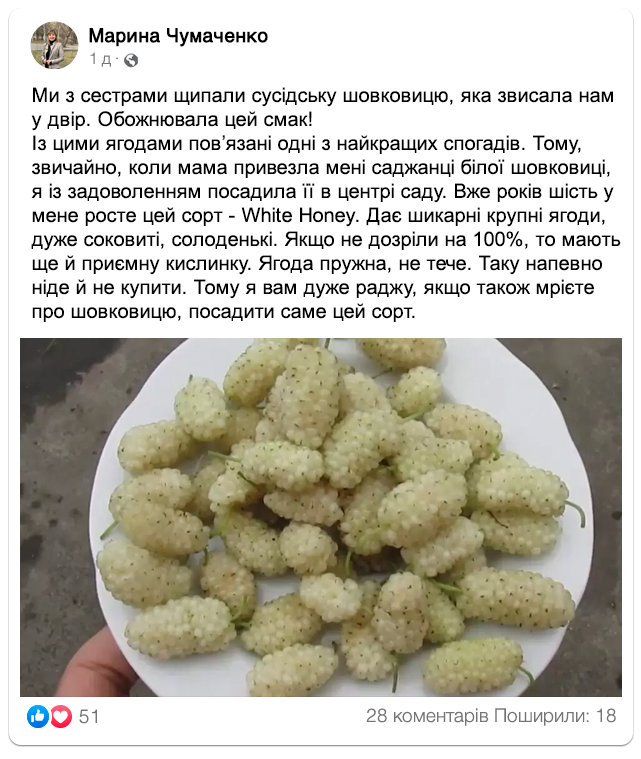 Заголовок